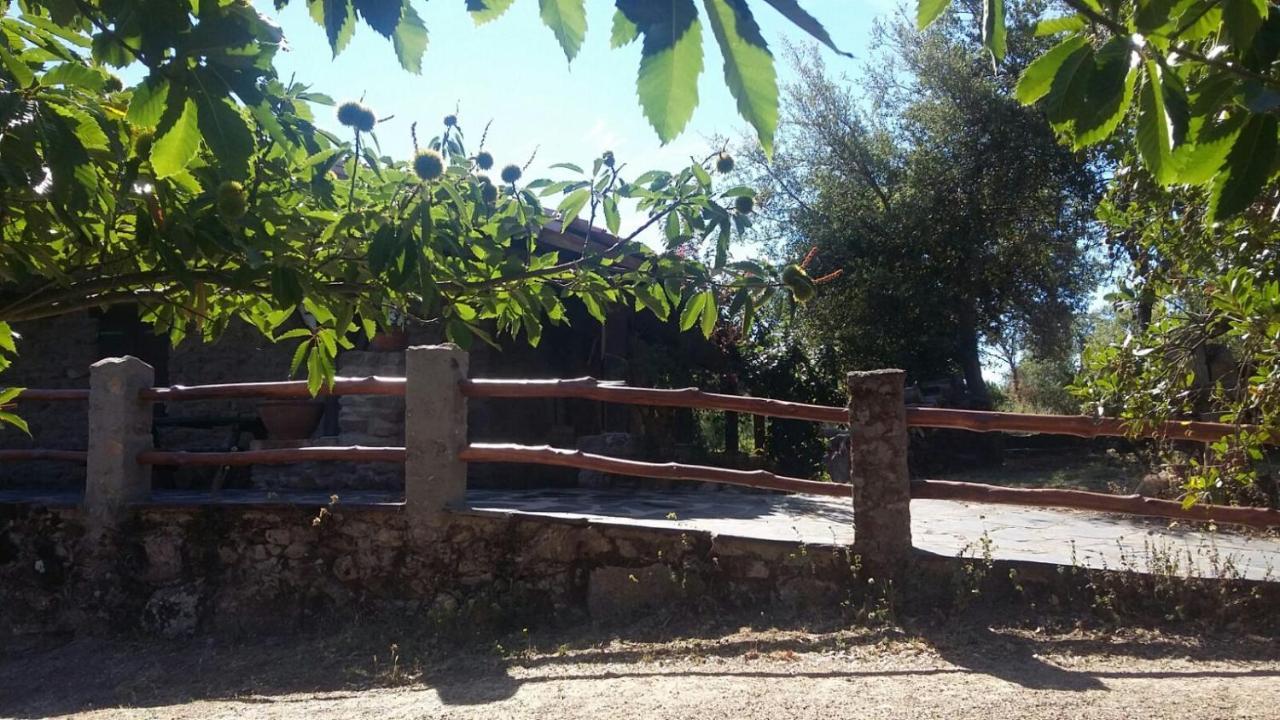 Perales del Puerto La Simona Casa Rural מראה חיצוני תמונה