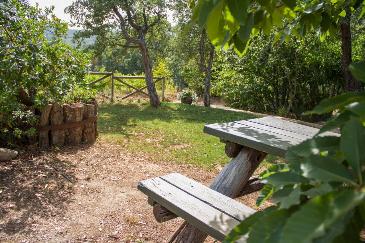 Perales del Puerto La Simona Casa Rural מראה חיצוני תמונה