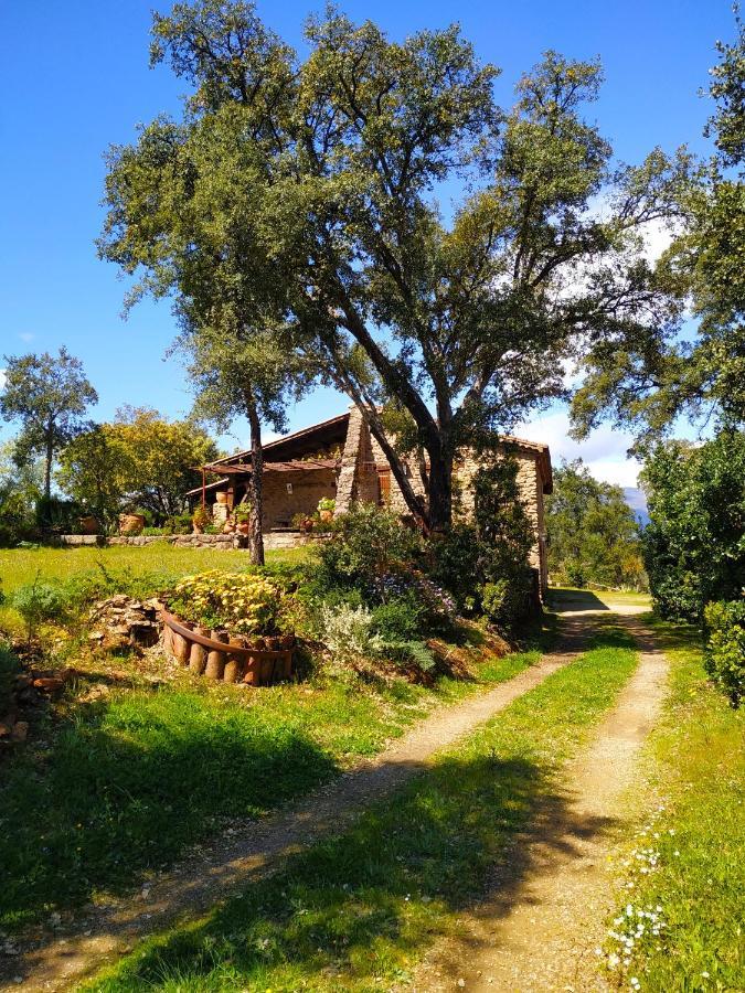 Perales del Puerto La Simona Casa Rural מראה חיצוני תמונה