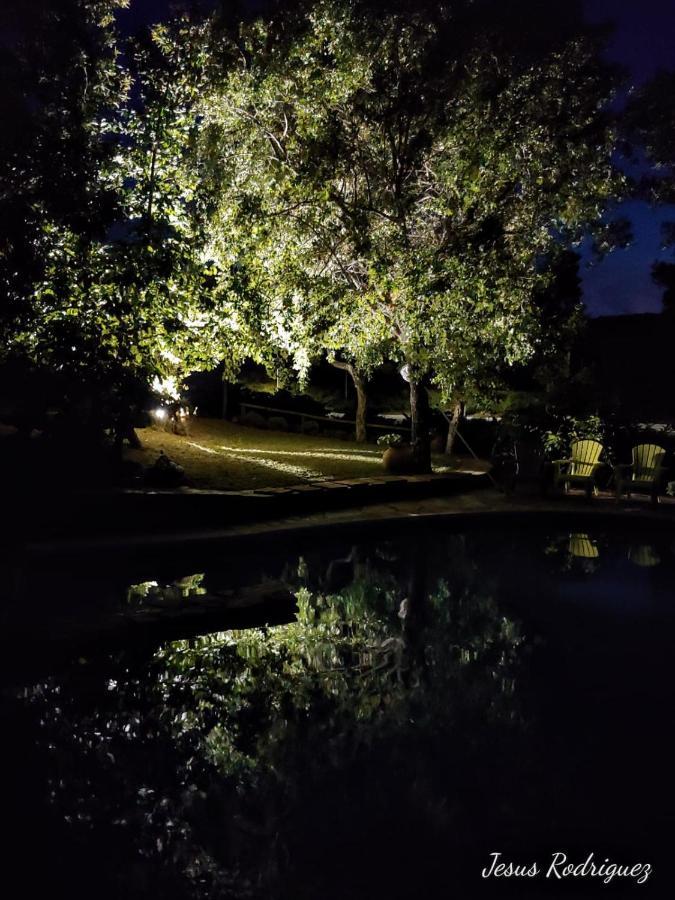 Perales del Puerto La Simona Casa Rural מראה חיצוני תמונה