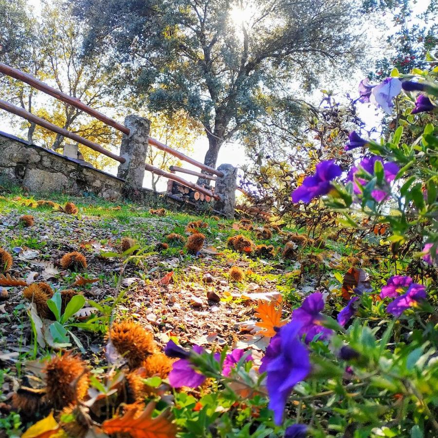Perales del Puerto La Simona Casa Rural מראה חיצוני תמונה