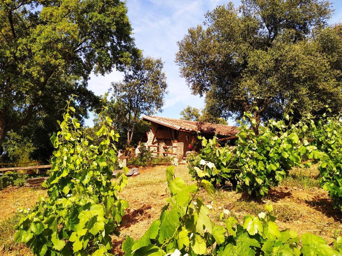 Perales del Puerto La Simona Casa Rural מראה חיצוני תמונה